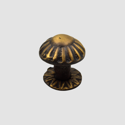 Rustic Daisy Furniture Knob