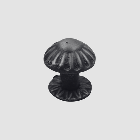 Rustic Daisy Furniture Knob